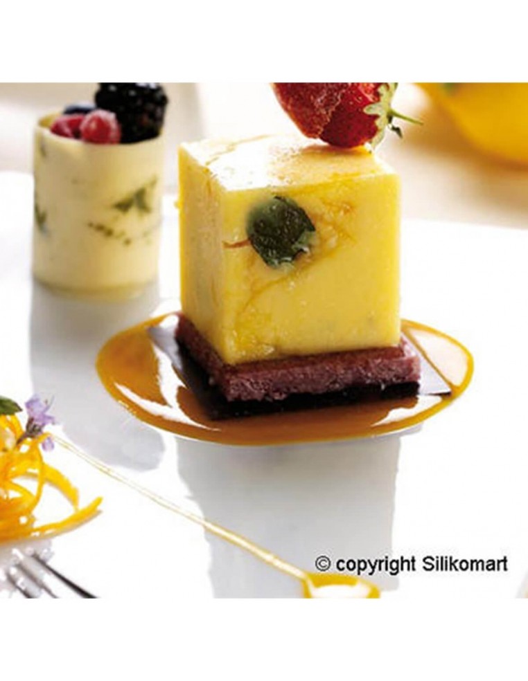 Matrita din silicon cube, SF263 Silikomart