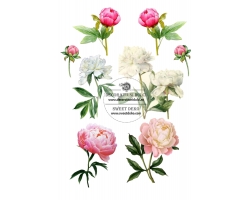 Bujori - imagine comestibila