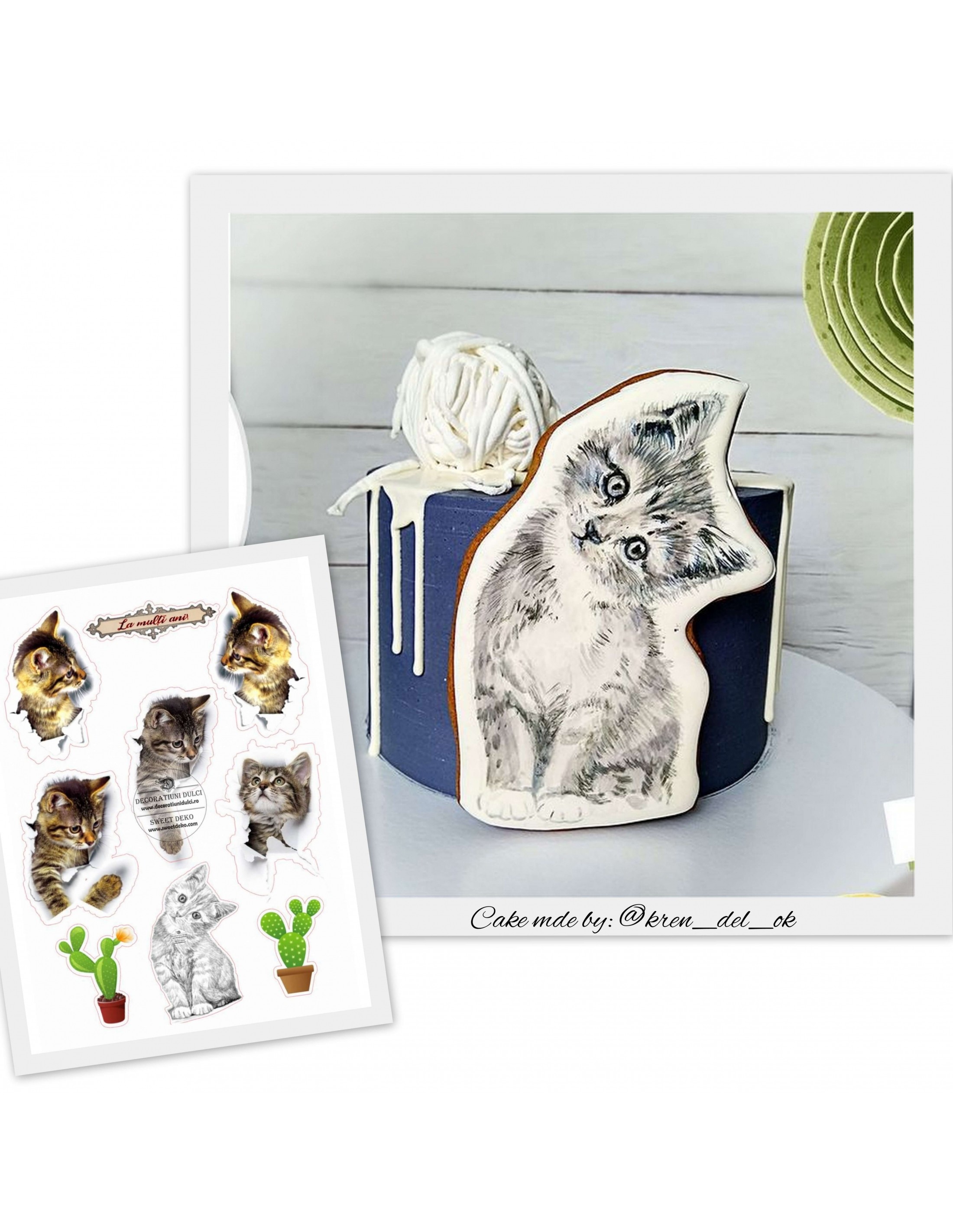 Imagine comestibila pisicute nazdravane