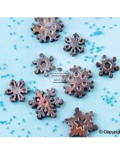 Mulaj bomboane model fulgi, SCG40 Choco Frozen Silikomart 2