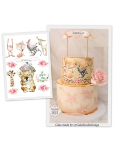 Animalute si flori, poze comestibile pentru tort