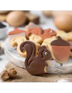 Decupatoare veverita si ghinda, Decora 2