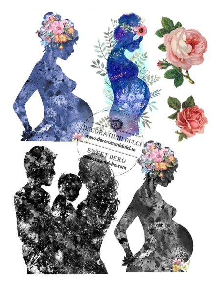 Imagine comestibila artistic familly