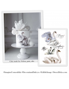 Imagine comestibila lebede together forever 2