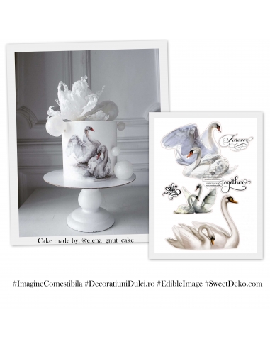 Imagine comestibila lebede together forever