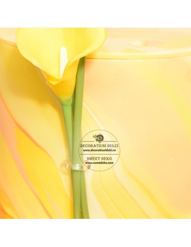 Agrafa tort, inel prindere decor lateral | 5buc.