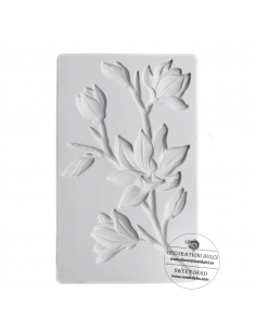 Mulaj ramura inflorita de magnoliu 2