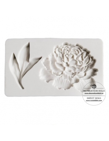 Mulaj floare si frunza de bujor