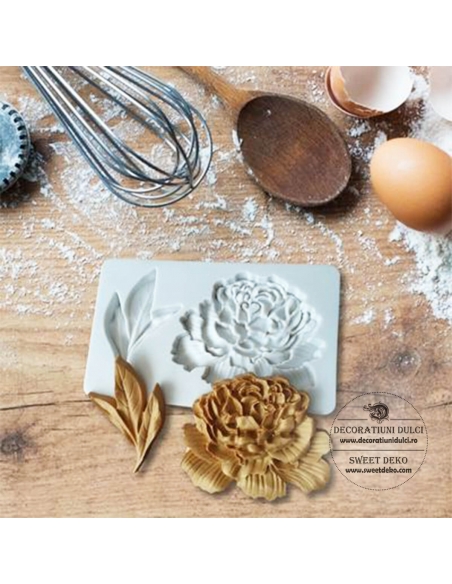 Mulaj floare si frunza de bujor