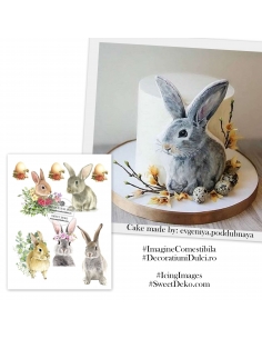 Imagine pentru tort, floricele si iepurasi de Paste 2