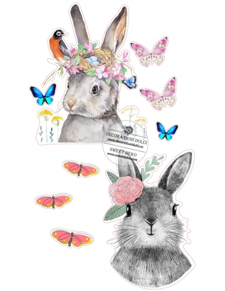 Imagine icing iepurasi boemi