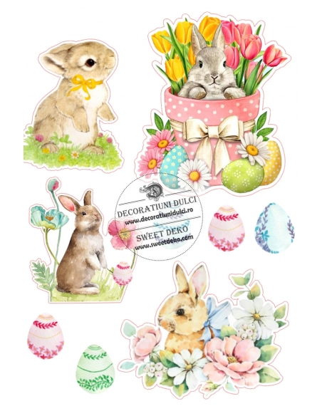 Iepurasi pictati, imagini pe coala din pasta de zahar