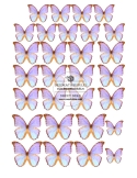 Imagine comestibila purple butterflies with hints of gold
