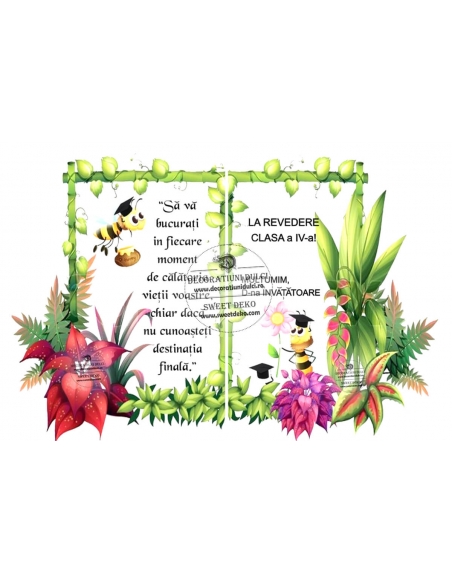 Imagine comestibila, carte deschisa absolvire albinute