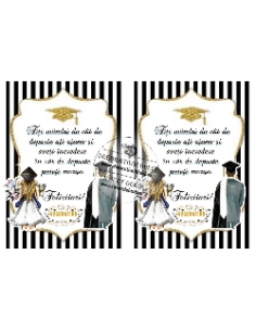 Felicitare absolvire, imagine pentru tort 2