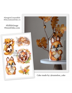 Imagine comestibila vulpite toamna 2