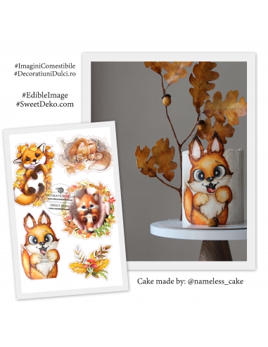 Imagine comestibila vulpite toamna