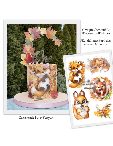 Imagine comestibila vulpite toamna