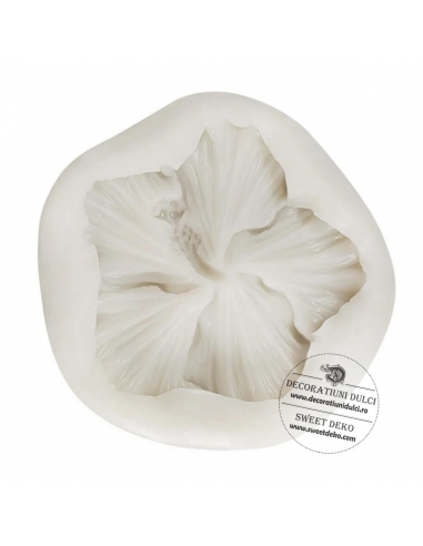 Mulaj floare hibiscus