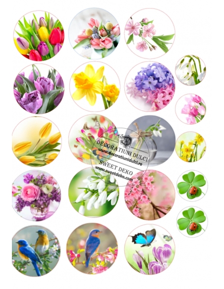 Imagine comestibila flori