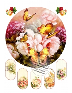 Primavera | Decoratiuni Dulci