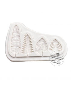 Mulaj 4 frunze mici, exotice 2