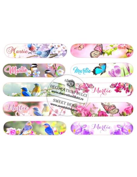 Decor capace eclere Martie - fluturi si pasari