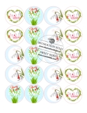 Imagine comestibila Happy Martisor