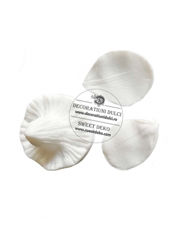 Mulaj narcisa, veiner petale