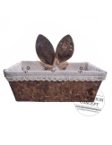 Cosulet cu urechiuse de iepuras