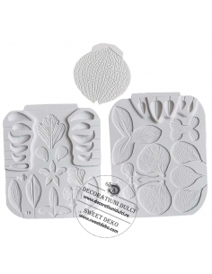 Mulaje formare orhidee 2