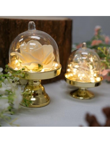 Cupola Acrilica Roz cu picior, dom 8x5.5 cm