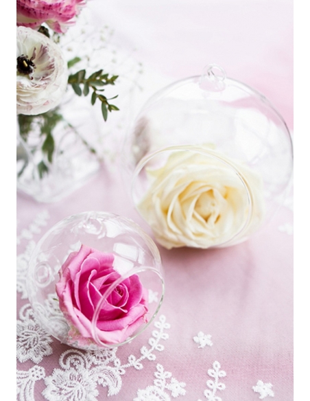 Glob Terarium Acrilic Transparent 8 cm