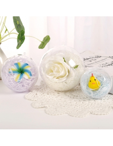 Glob Terarium Acrilic Transparent 8 cm