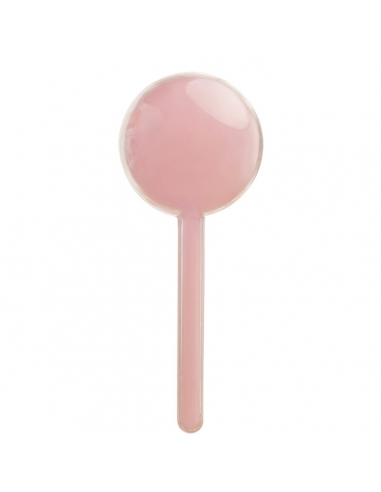 Cutie acrilica sub forma de Acadea Roz