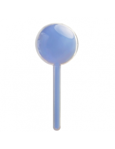 Cutie acrilica sub forma de Acadea Bleu