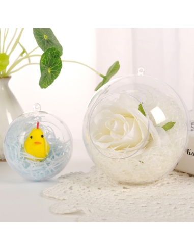 Glob Terarium Acrilic Transparent 10 cm