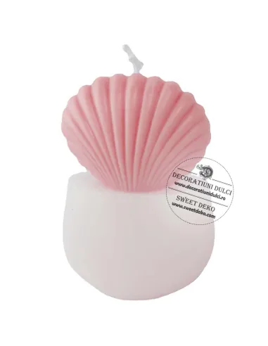 Mulaj scoica tridimensionala