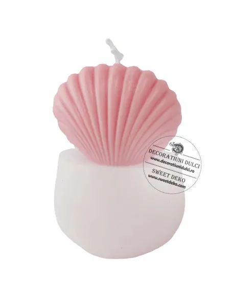 Mulaj scoica tridimensionala