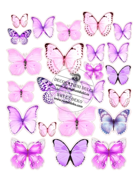 Fluturi Ametist | imagine comestibila