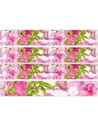 Imagini comestibile benzi