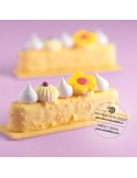 Pralin Croquant Chocolate Blanc, Marguerite | Decoratiuni Dulci