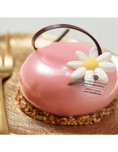 Glazura flexibila cu aroma de capsuna | Souplesse Strawberry 3kg