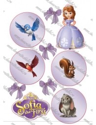 Imagine comestibila Sofia si prietenii