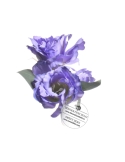 Topper Lisianthus | decor necomestibil pentru tort