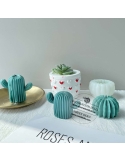 Mulaj cactus