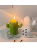 Mulaj cactus