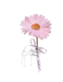 Decor floare gerbera roz cu 2 agrafe prindere