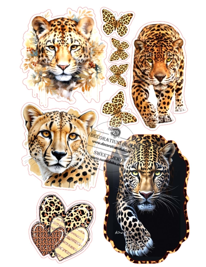 Imagine comestibila Leopard