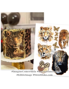Imagine comestibila Leopard